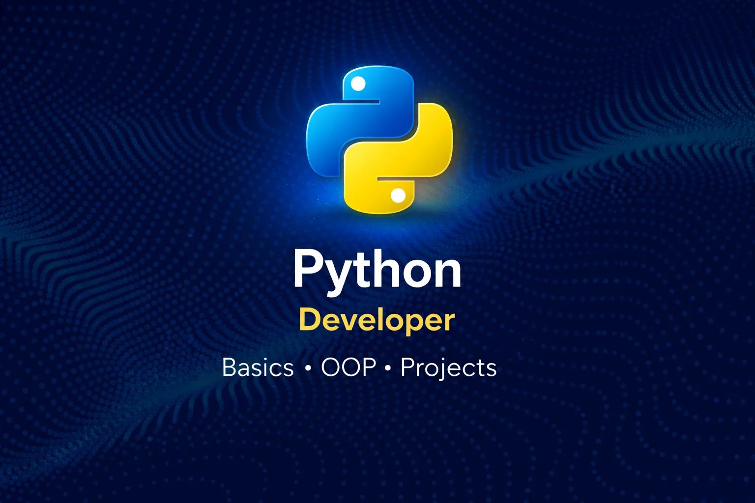 Python Developer